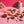Charger l&#39;image dans la galerie, Préparation de dessert Pistache et Rhubarbe
